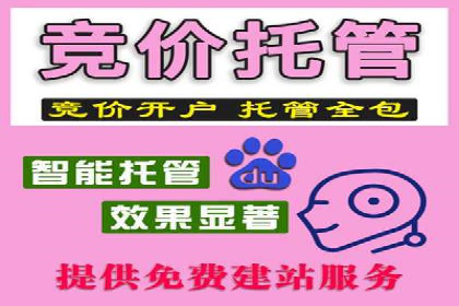 百度竞价排名案例分析：提升网站流量与转化率
